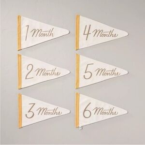 Hearth & Hand with Magnolia Newborn Milestone Pennants 6 pc